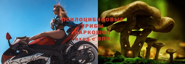 мдпв Козловка