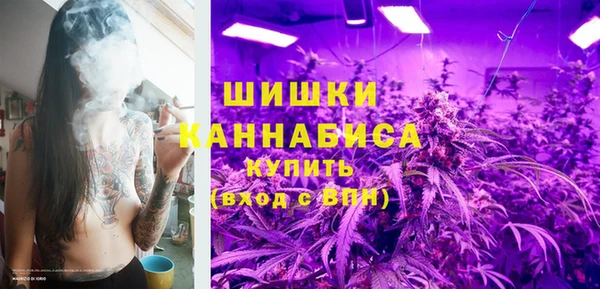 мдпв Козловка