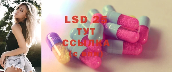 спайс Корсаков